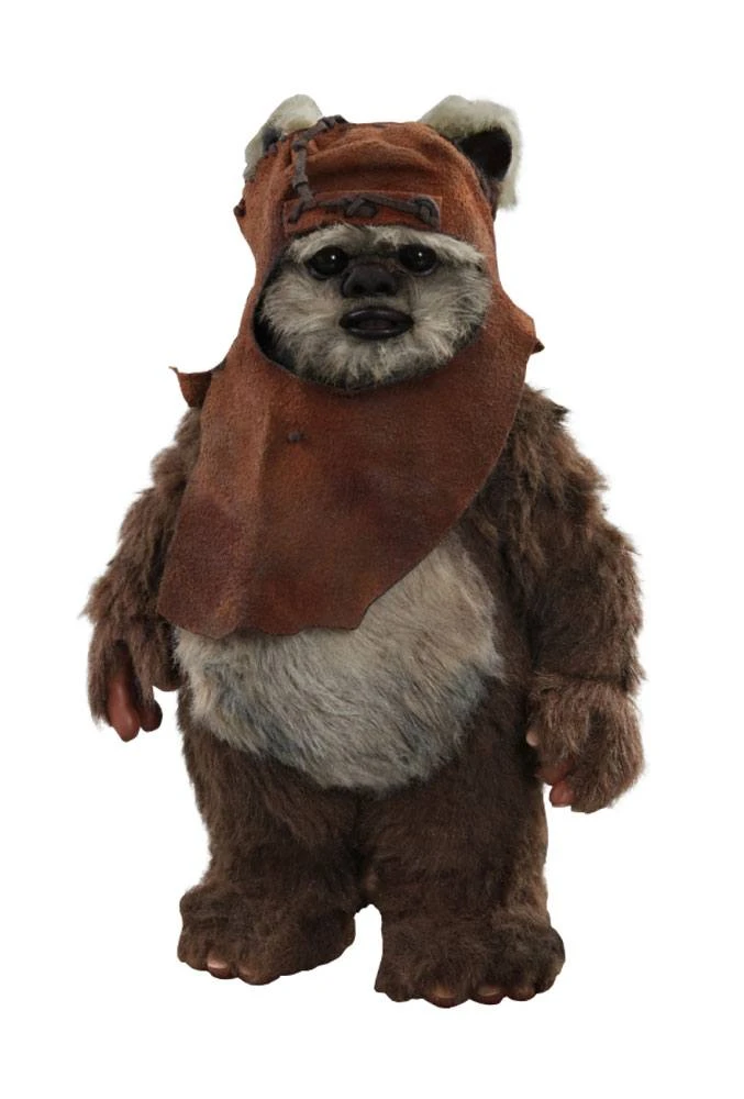 Hot Toys Wicket Star Wars Episode VI Movie Masterpiece Action Figure 1/6 15 Cm 3 Hot Toys Wicket Star Wars Episode VI Movie Masterpiece Action Figure 1/6 15 Cm