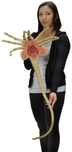 Facehugger 105 Cm Replica 1/1 Aliens Foam NECA 51355 -Funko Shop x neca51355 b 1
