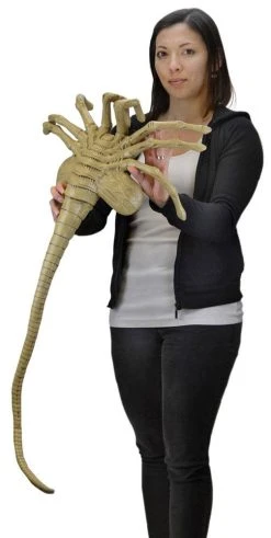 Facehugger 105 Cm Replica 1/1 Aliens Foam NECA 51355 -Funko Shop x neca51355 c 1