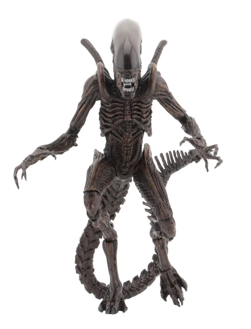 Aliens Action Figures 18 Cm Serie 14 NECA 51651 5 Aliens Action Figures 18 Cm Serie 14 NECA 51651 - immagine 3