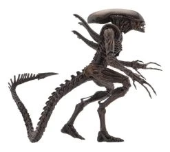 Aliens Action Figures 18 Cm Serie 14 NECA 51651 17 Aliens Action Figures 18 Cm Serie 14 NECA 51651 -Funko Shop x neca51651 e