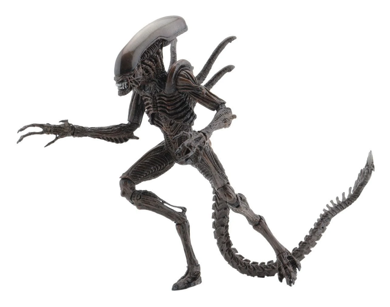 Aliens Action Figures 18 Cm Serie 14 NECA 51651 9 Aliens Action Figures 18 Cm Serie 14 NECA 51651 - immagine 7