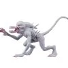 Neomorph Alien Action Figures 14 Cm Alien Classics NECA 51693 -Funko Shop x neca51693 g