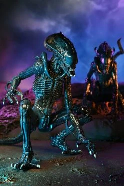Alien Vs Predator Action Figure 20 Cm Alien Case NECA 51717 - MARCH 2022 -Funko Shop x neca51717 g 1